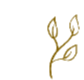 25.png